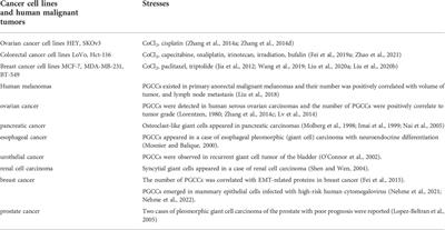 Polyploid giant cancer cells and cancer progression